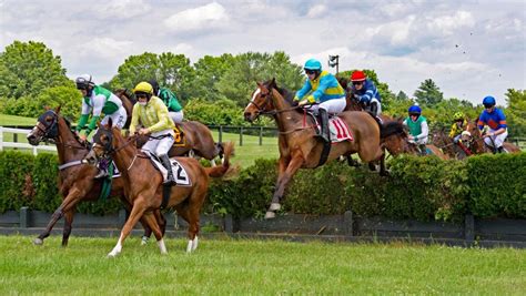 virginia gold cup 2021 results.